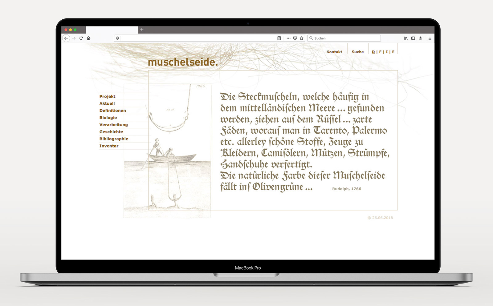 Corporate Design Webdesign Muschelseide Felicitas Maeder
