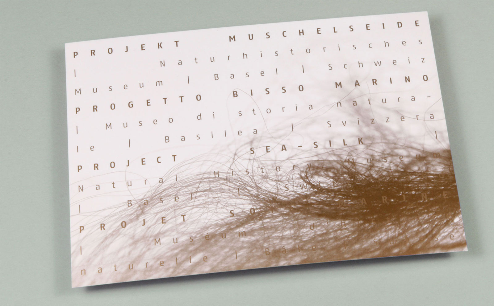 Corporate Design Gestaltung Postkarte Muschelseide Felicitas Maeder