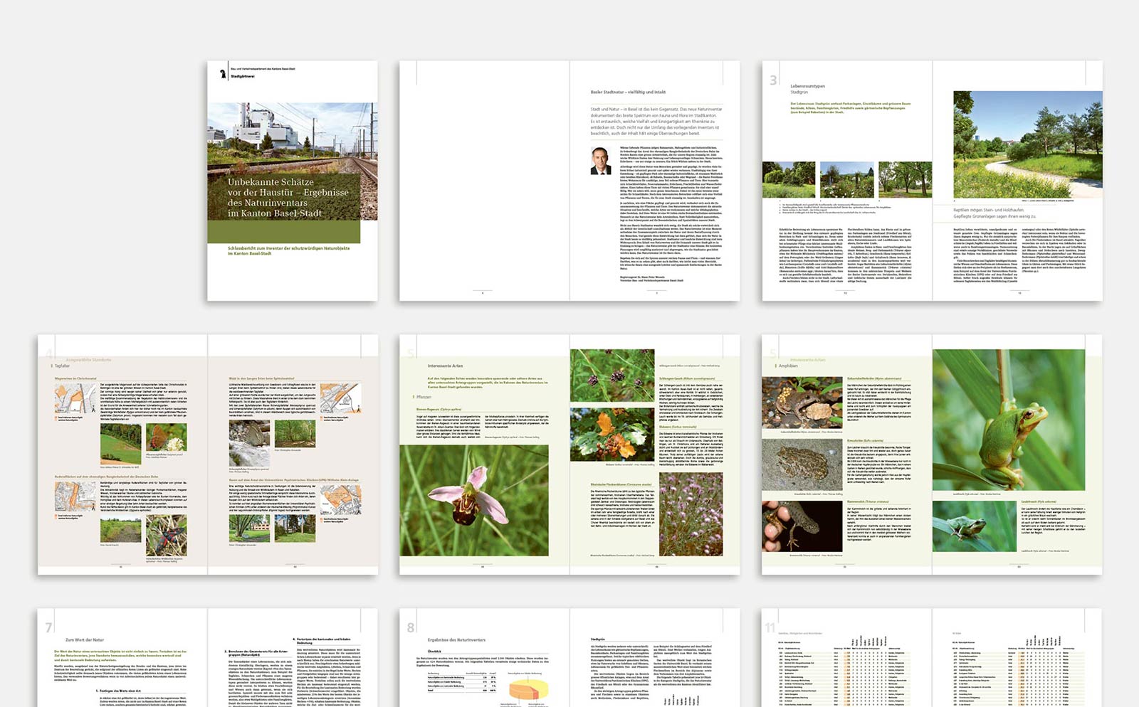 Gestaltung Broschüre Ergebnisse des Naturinventars im Kanton Basel-Stadt Ansicht verschiedener Inhaltsseiten