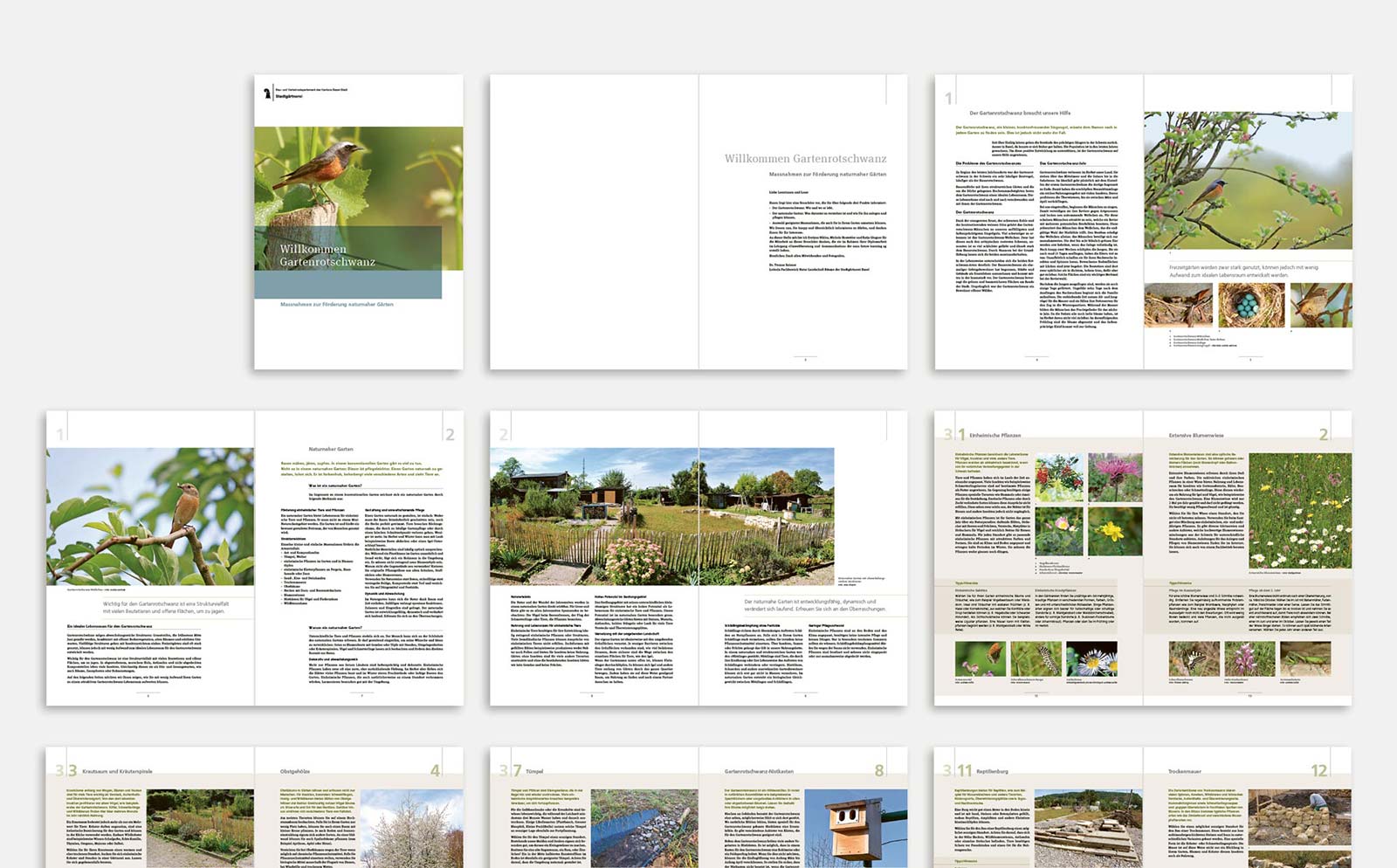 Gestaltung Broschüre Willkommen Gartenrotschwanz im Auftrag der Stadtgärtnerei Ansicht verschiedener Inhaltsseiten